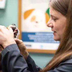 To help keep her patient's smile healthy, Dr. Erica performs an oral exam!