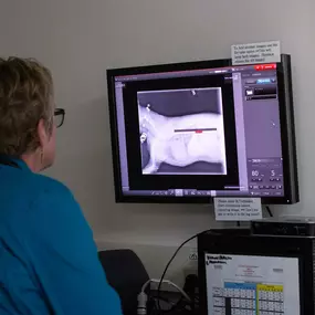 Did you know we offer digital radiography (aka X-Ray)? From a diagnostic perspective, x-rays serve as an invaluable role in veterinary medicine. They provide a view of the heart, lungs, and musculoskeletal system of the animal and visualize any deformities or abnormalities.