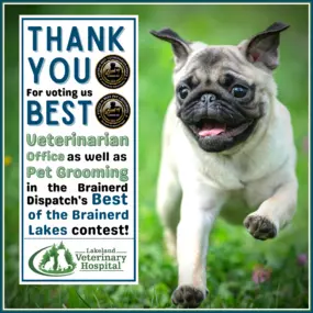 The entire team at Lakeland Veterinary Hospital would like to take a moment to thank you for voting us 