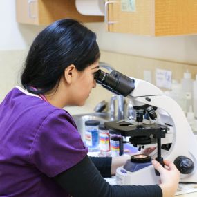 A veterinary technician examines a sample using a microscope in our convenient, fully equipped in-house lab. We are able to perform urinalysis, parasite testing, fungal cultures, blood work, and much more.