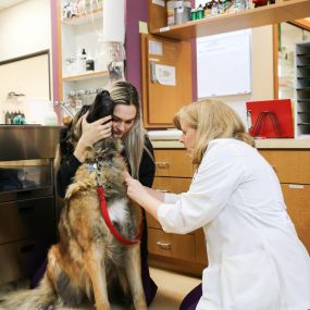 Dr. Jamie Hutton administers a vaccine with the help of a veterinary technician.