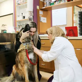 Dr. Jamie Hutton administers a vaccine with the help of a veterinary technician.