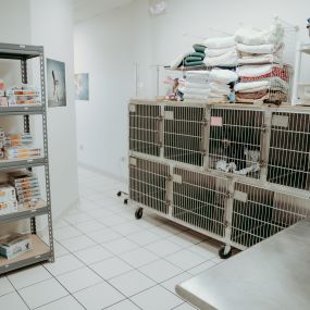 Annapolis Cat Hospital boarding and prescription diets.