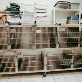 Annapolis Cat Hospital treatment kennels and boarding.
