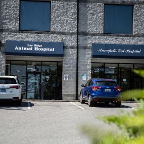 Bay Ridge & Annapolis are sister facilities, and conveniently located right next door to each other! Bay Ridge Animal Hospital focuses on canine care, while Annapolis Cat Hospital caters to felines