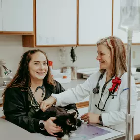 Head veterinary technician, Merissa, and Dr. Rudd give fluids to a feline patient.