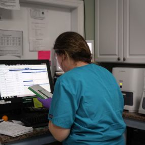 The in-house lab at Farmingdale Dog & Cat Clinic allows our medical team to make efficient, accurate diagnoses.