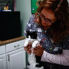 A highly trained veterinary technician assists a doctor during a wellness exam.