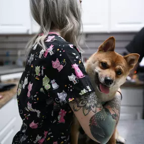 This precious pup warms up to a veterinary technician before Dr. Funk examines him nose-to-tail.