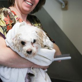 Grooming services keep pets clean and comfortable, and helps us to identify potential skin abnormalities, infections, and parasites.