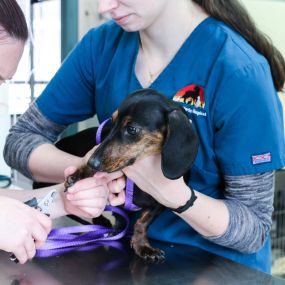 If you struggle to trim your pet’s nails at home, we can help!