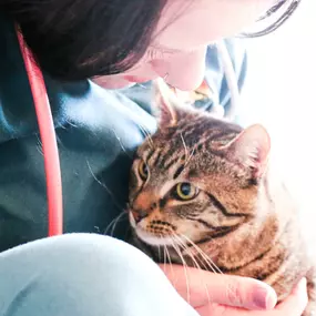 Dublin Veterinary Hospital treats patients with superior medical services and a lot of love!