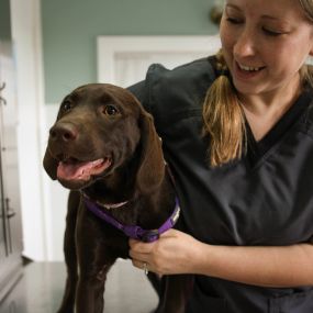 Our vet techs are not only very well trained, they’re also doing what they love. That is why we trust them completely to provide the best, most compassionate care possible every single time.