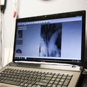 Our clinic is equipped with the most up to date tools in the veterinary field such as digital radiology. This allows us to provide our pets with exceptional preventative care to ensure your pet maintains the best health possible.