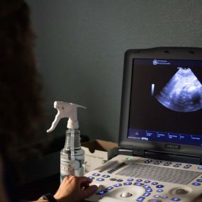 Ultrasound technology allows our medical team to examine internal organs and soft tissues.