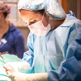 Safety and comfort are hallmarks of the surgical care provided at Best Care Pet Hospital. Our doctors perform surgery in our fully-equipped and technologically advanced surgical suite.