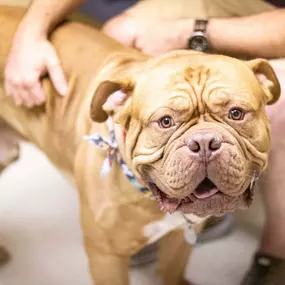 Our patient is all smiles for his appointment!