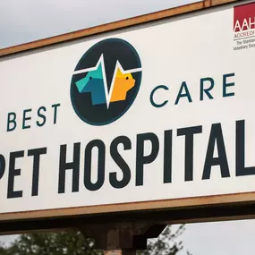 At Best Care Pet Hospital, we are dedicated to health and healing.