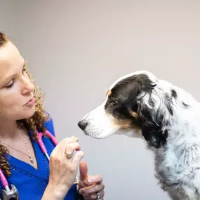 Dr. Krista Hardy begins an exam on her patient.