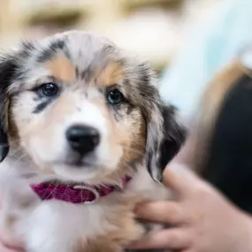 What a face!!!! We have the CUTEST patients :)