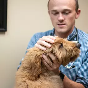 This pup did great for his physical exam with Dr. Ben Lamp!