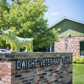 Dwight Veterinary Clinic has proudly served the dogs and cats of Dwight and the surrounding area since 1951!