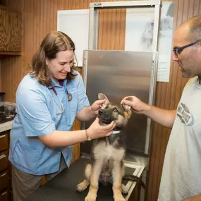 Dr. Haag-Eggenberger examines a puppy at Dwight Veterinary Clinic. You pet's physical exam involves a thorough nose-to-tail evaluation of your pet's health.