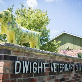 Welcome to Dwight Veterinary Clinic, where your pet's health and wellbeing is our #1 priority!