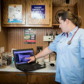 Dr. Haag-Eggenberger analyzes an x-ray. X-rays help our doctors diagnose many health conditions, including tumors, heart disease, and broken bones.