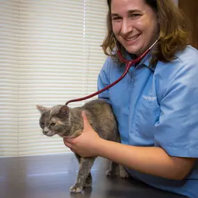 Dr. Angie Haag-Eggenberger uses a stethoscope to listen to this pretty patient's heart and lungs.