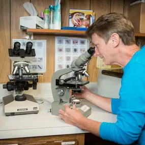 A veterinary technician examines a sample under a microscope. At Dwight Veterinary Clinic, our lab is on-site, helping us return test results immediately.