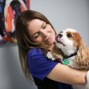 Doggy kisses: just one reason we love what we do at Animal Medical Clinic of Gulf Gate!