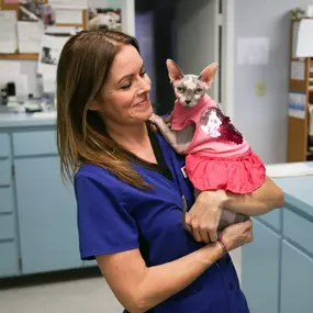 This sweet girl ts some love from one of our compassionate veterinary technicians. At Animal Medical Clinic of Gulf Gate, we understand how much your pet means to you and your family because we are pet-lovers ourselves!