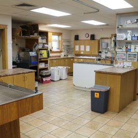 Take a look inside our treatment area. Here, our medical team carries out a variety of procedures, such as administering vaccines, dental cleanings, and pre-surgical preparation.