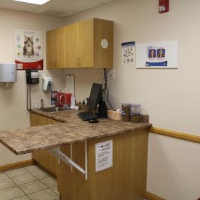 The exam room is where all of the magic happens! Routine wellness exams help us to keep our patients their happiest and healthiest selves.