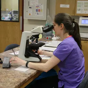 The in-house lab at Broadway Veterinary Clinic allows us to produce test results quickly and accurately.