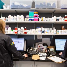 Our hospital houses an on-site pharmacy to give our clients convenient and direct access to a wide range of preventatives and medications their pets may need.