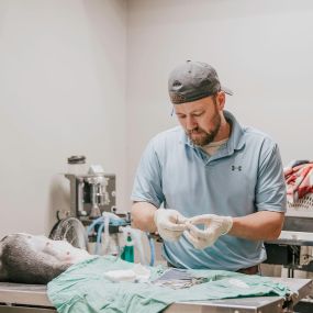The medical team at Wewoka Animal Hospital is highly experienced in a wide range of surgical procedures, including cesarean section.