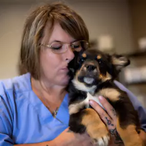 A patient getting some love from our team member.