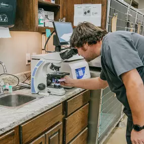 A veterinary technician examines a sample using a microscope in our on-site diagnostic laboratory.