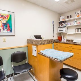 At Truesdell Animal Care, we have exam rooms designed specifically for dogs and cats.