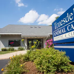 Truesdell Animal Care Hospital & Clinic has been AAHA-Accredited since 1997! This means your pet's receive the absolute best care and treatment with us.