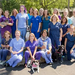 The entire team at Truesdell Animal Care is dedicated to your pet's overall quality of life. Our skilled and friendly team works together to promote a lifetime of health and happiness in your companion.