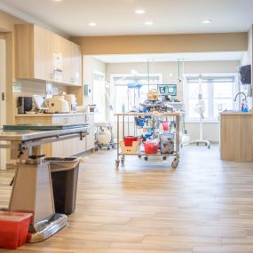 This is our spacious treatment area. This space is used for a range of procedures, like taking blood, giving vaccines, and preparing for surgery.