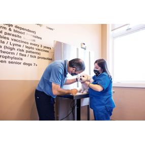 Wellness exams at Tenafly Veterinary Center are comprehensive, checking every patient from nose to tail.