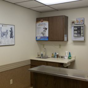 This is an exam room where your pet will be examined by one of our caring veterinarians.