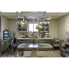 White Oak Veterinary Clinic houses a modern surgical suite equipped for a range of basic surgical procedures, including spay & neuter, dental surgery, injury repair, orthopedic surgery, and soft tissue surgery.