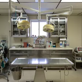 White Oak Veterinary Clinic houses a modern surgical suite equipped for a range of basic surgical procedures, including spay & neuter, dental surgery, injury repair, orthopedic surgery, and soft tissue surgery.