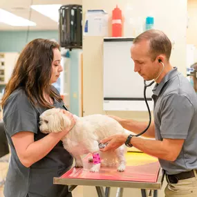 Dr. Jacob Hammond uses a stethoscope to listen to a patient’s heart and lungs.