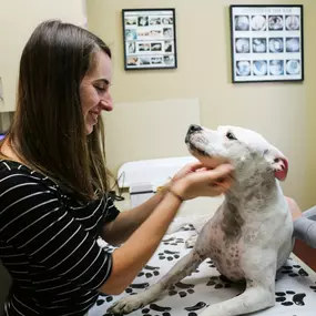 Wellness visits also give pet owners an opportunity to discuss their pet’s health with our experienced veterinarians.